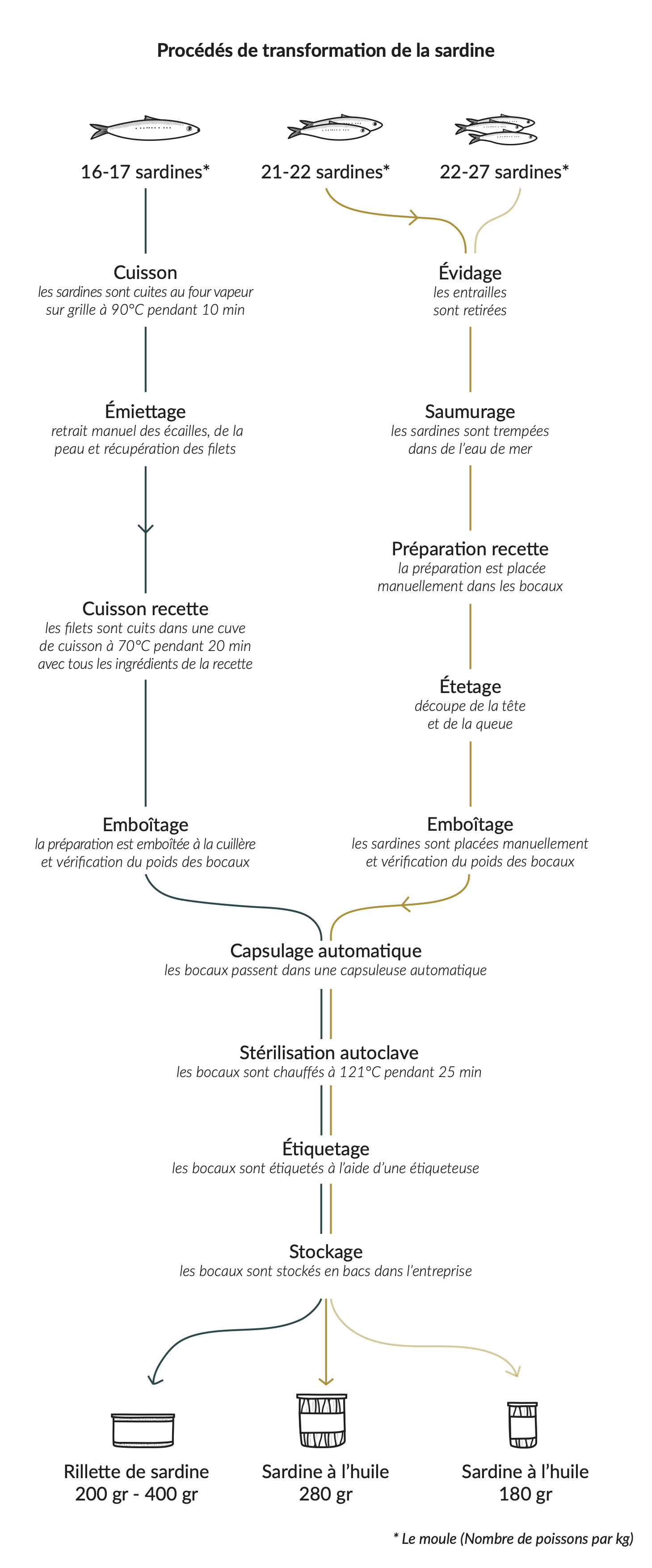figure_5_sardine_procedes_de_transformation