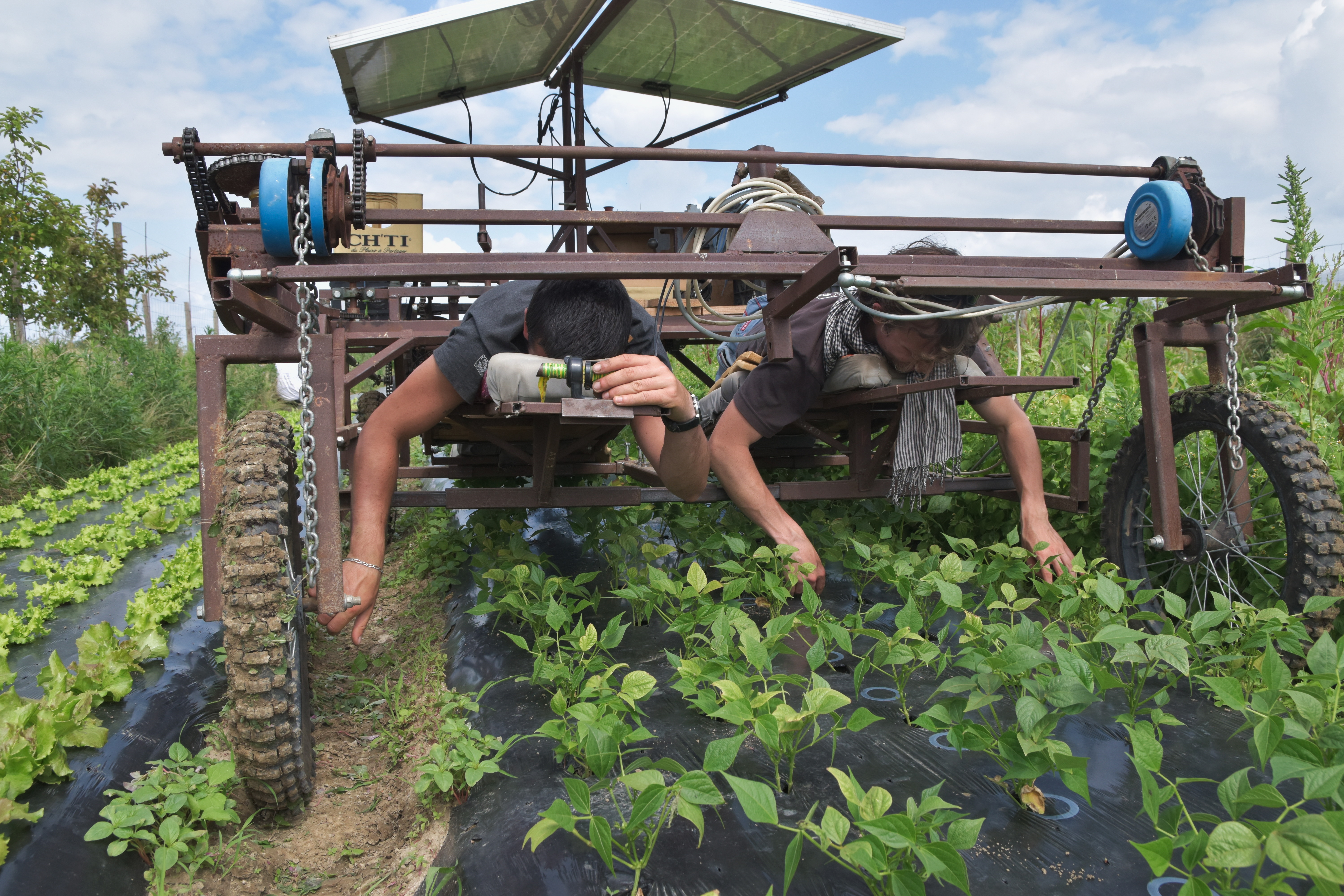 202107_atelier-paysan_maraichage_0-romuald-botte-4-chtit-bine-en-configuration-lit-de-travail-julien-lemaistre-low-tech-lab