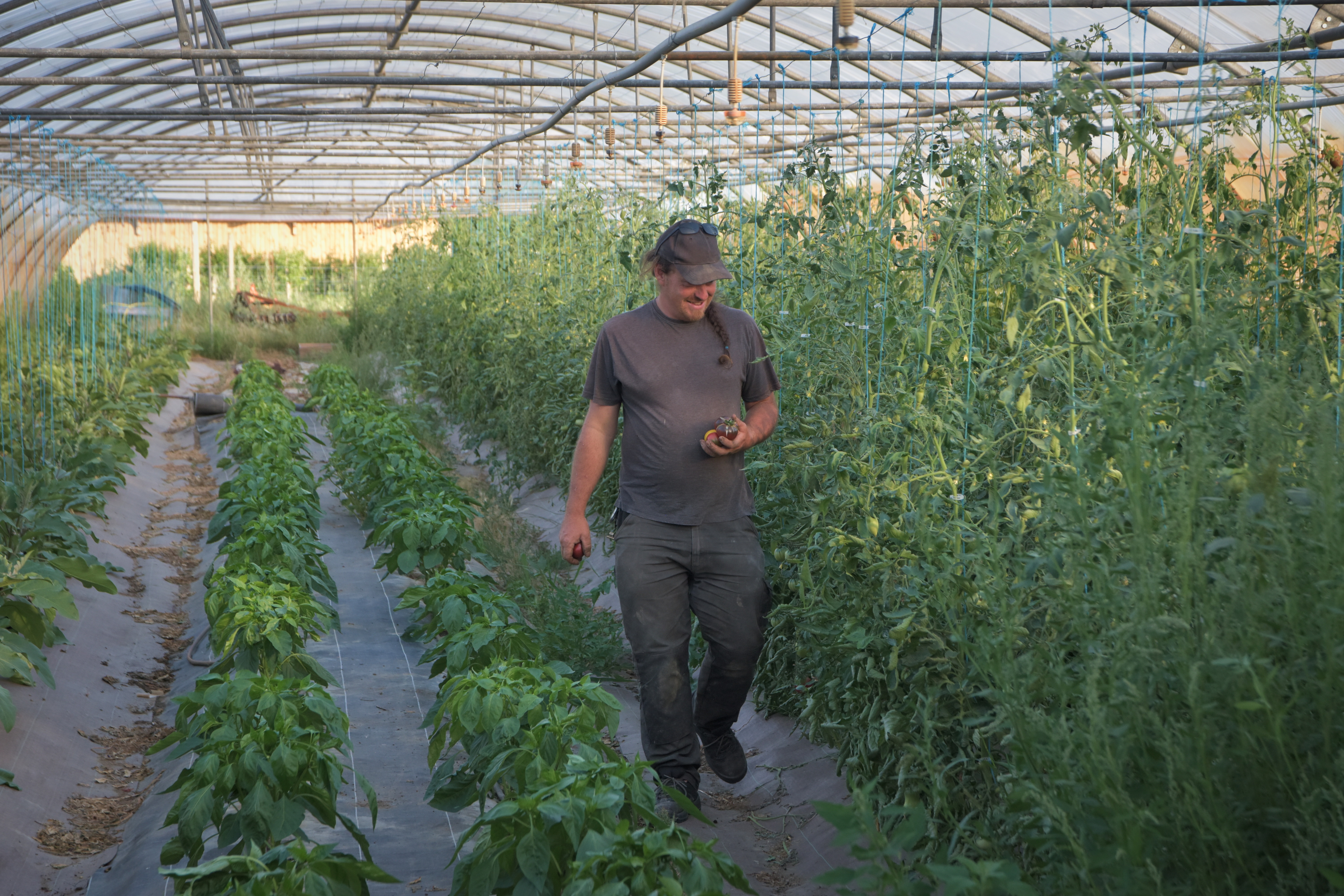 202107_atelier-paysan_maraichage_0-romuald-botte-1-serre-multichapelle-julien-lemaistre-low-tech-lab