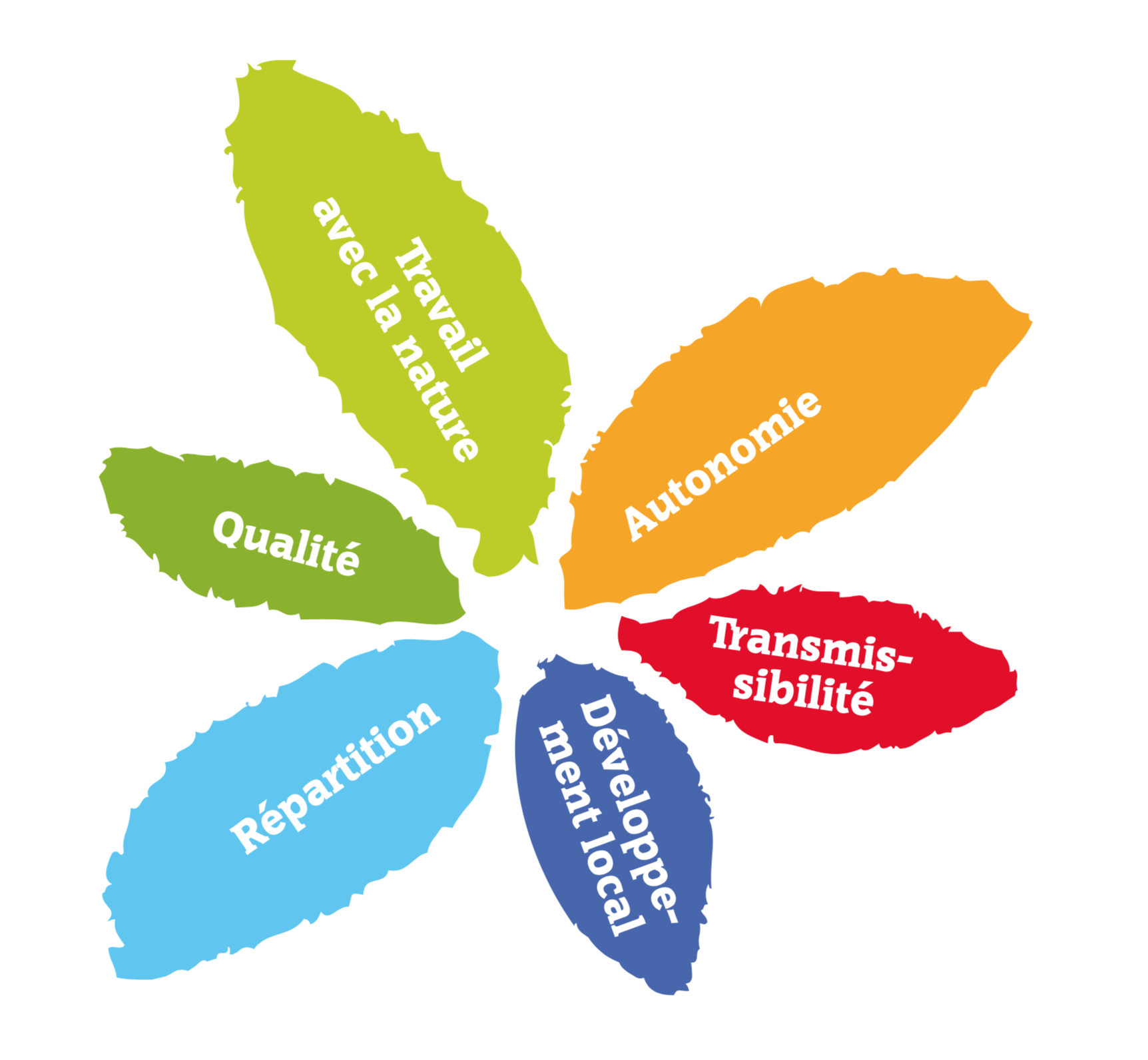 capture-decran-2022-02-10-a-16.02.31