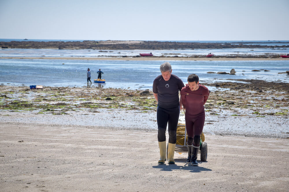 oceane-5-algues-en-conserve-2-low-tech-lab