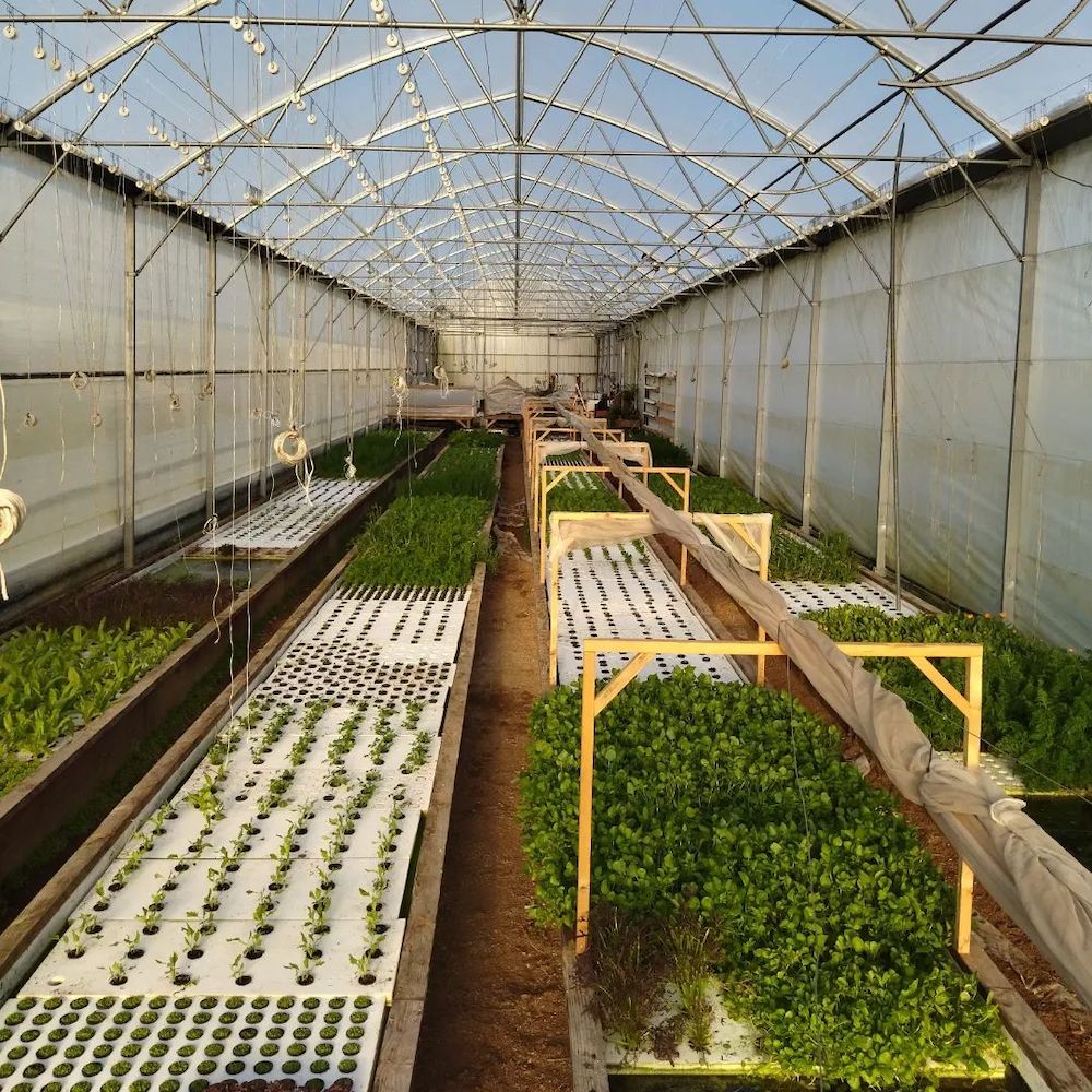 vue-ferme_photo-dlalb