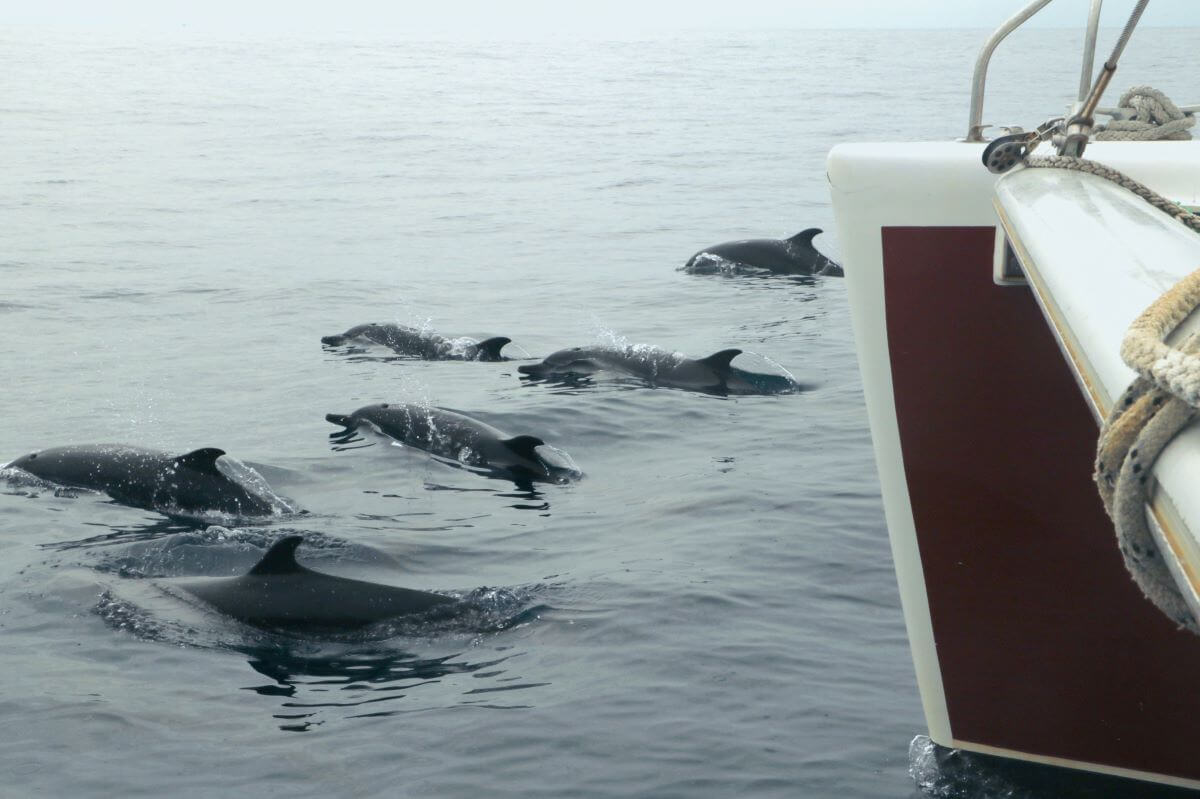 ndm-navigation-nica-047-low-tech-lab-1