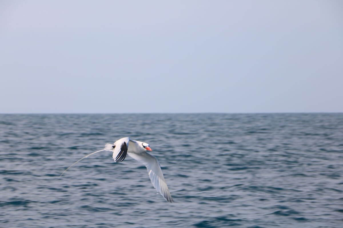 ndm-navigation-nica-044-low-tech-lab-1