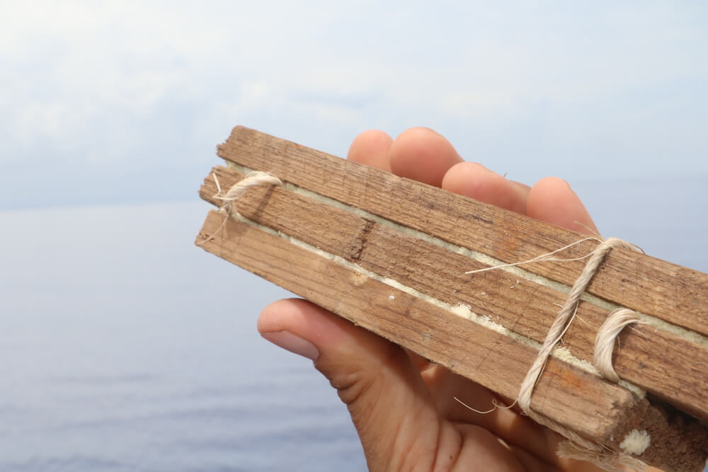 2021-06-16-cuba_bsf-oeufs-nav-low-tech-lab