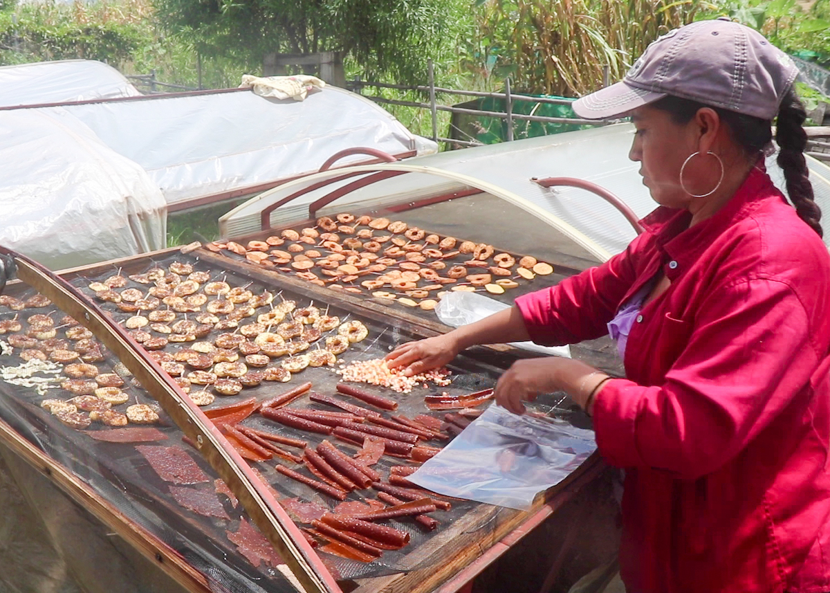 employee-et-fruits-deshydrates