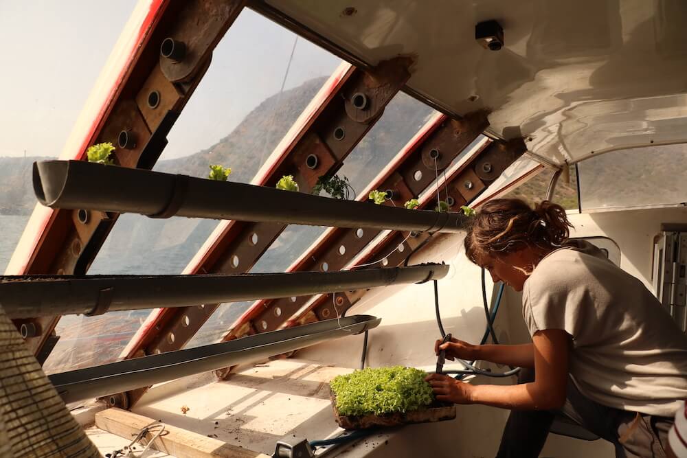 nomade-des-mers-cap-vert-serre-exterieure-installation-par-elaine-cc-saskia-scorcelo_32403098355_o