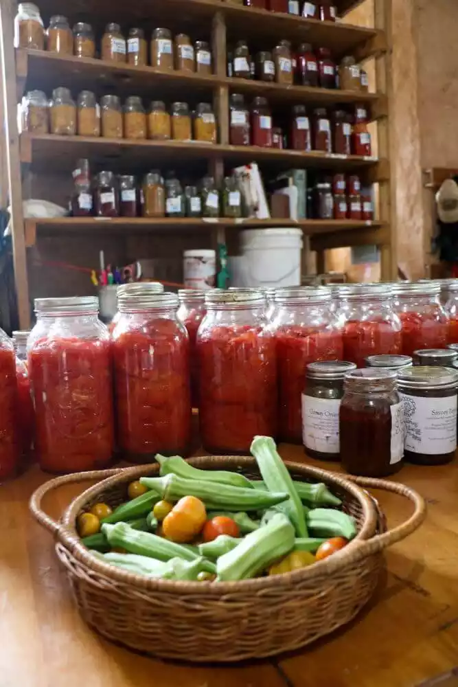 12021-09-17_living-energy-farm-18-@-sidonie-frances