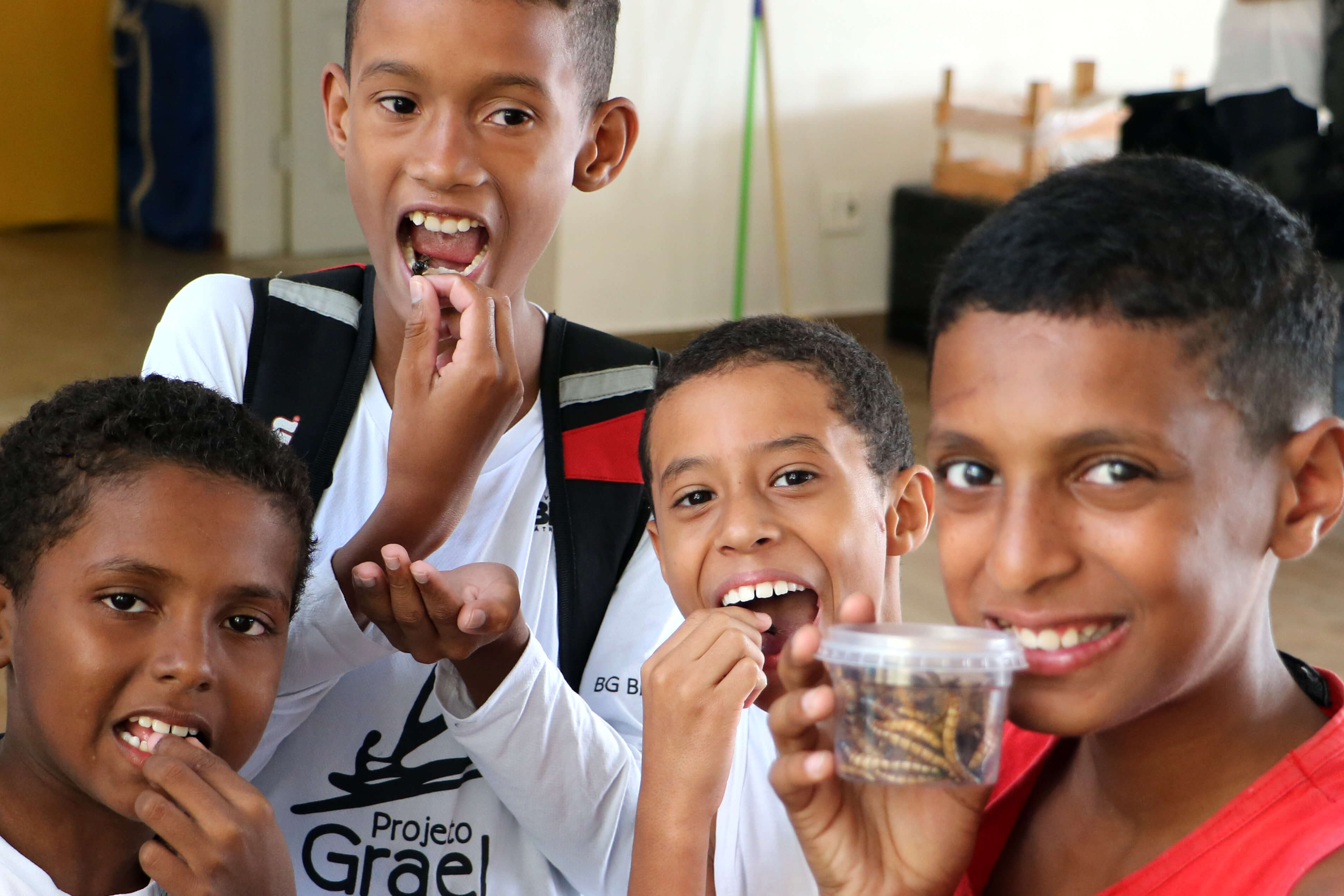 elevage-verres-farine-low-tech