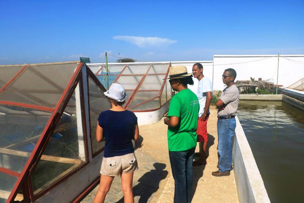 15167606_1860147564204183_9061778057560672678_o