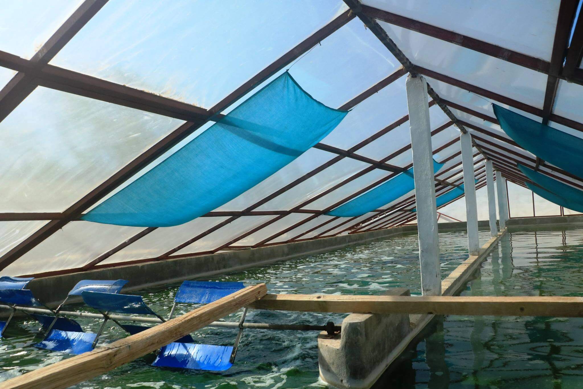 15168712_1860147687537504_6164140597825951666_o