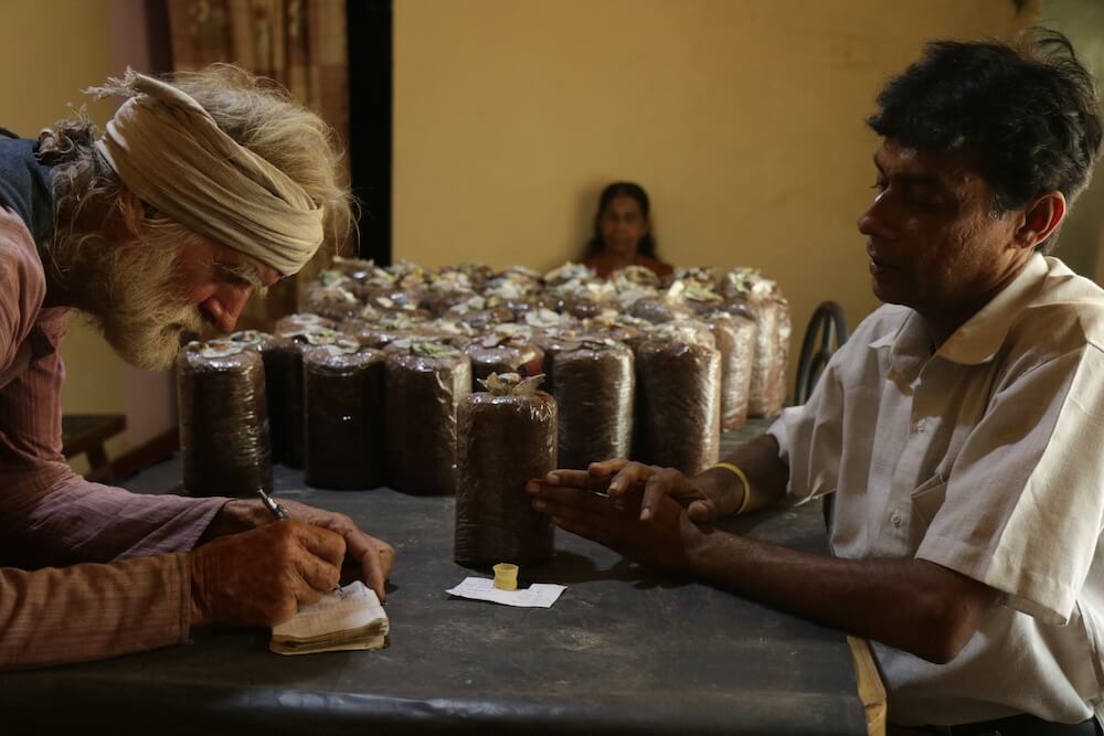 20170505-sri-lanka-visite-ferme-champignon-9_35528060532_o