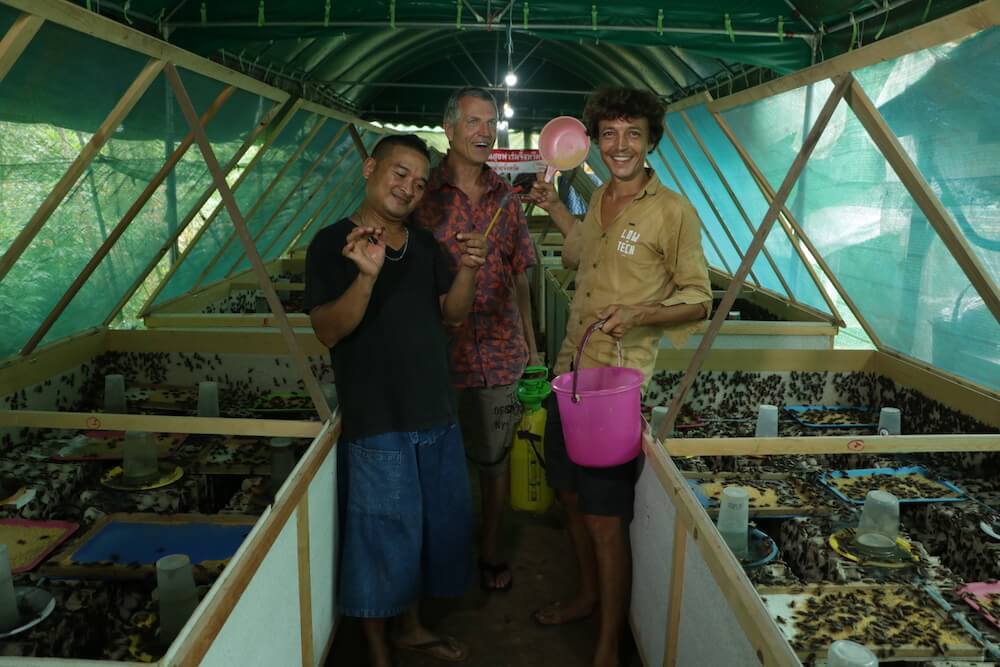 201707-enthomophagie-thailande-corentin-olivier-59_37446624722_o