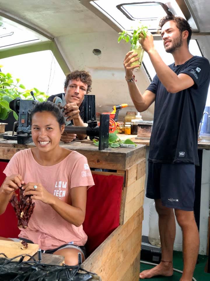 mexique-carre-activite